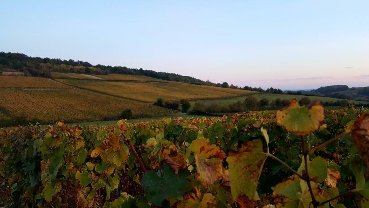 La Cadole De Chardonnay Exterior foto